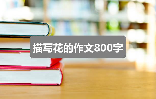 作文2024年香港资料:描写花的作文800字(精选3篇)